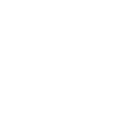 Delval Flow Controls Logo