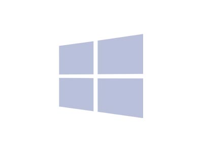 Microsoft Windows Logo